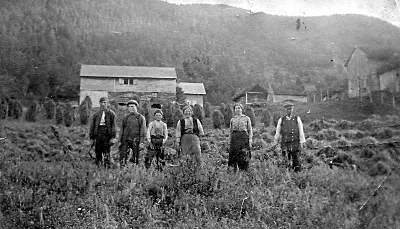 Sommartur med Sogelaget