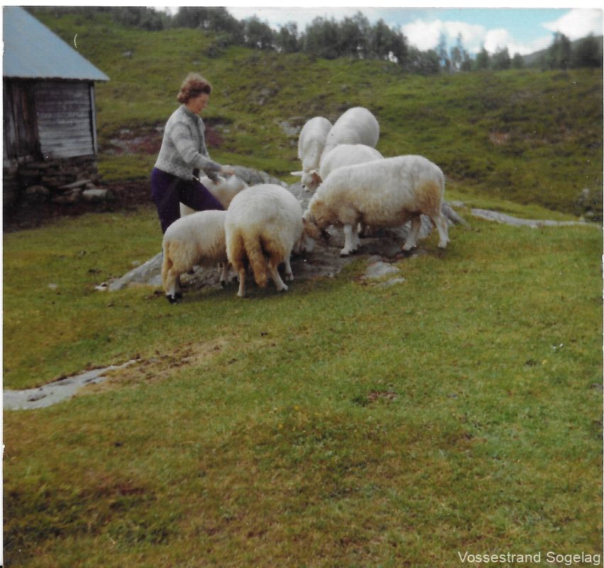 groastolen folk og husdyr